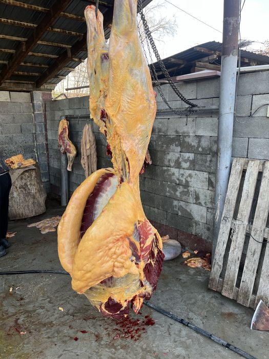 Ет сатылады,мясо продается