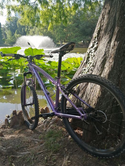 Bicicleta Felt Women
