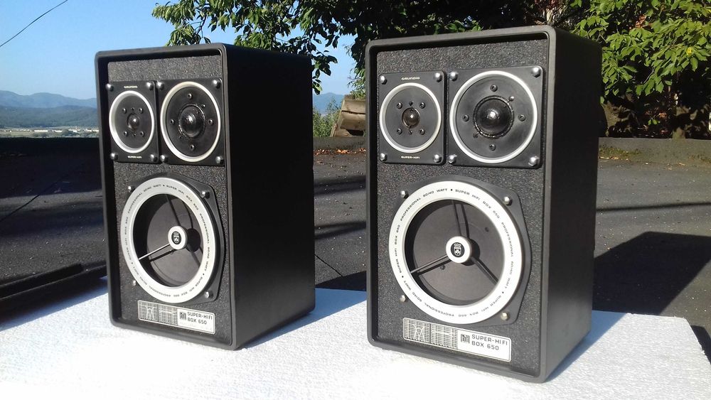 Boxe model Grundig Super Hi-Fi Box 650 Professional