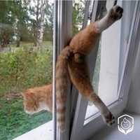 Антикошка - защита на окна от выпадения кошек BabySafe!