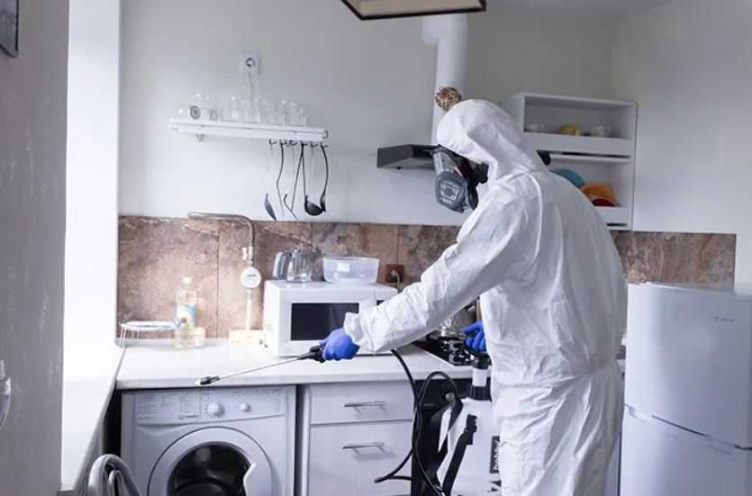 Dezinfeksiya klop klapa tarkan burga chayon ilon клапа Дезинфектор H7