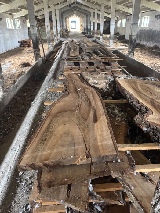 Blaturi de nuc,diferite dimensiuni