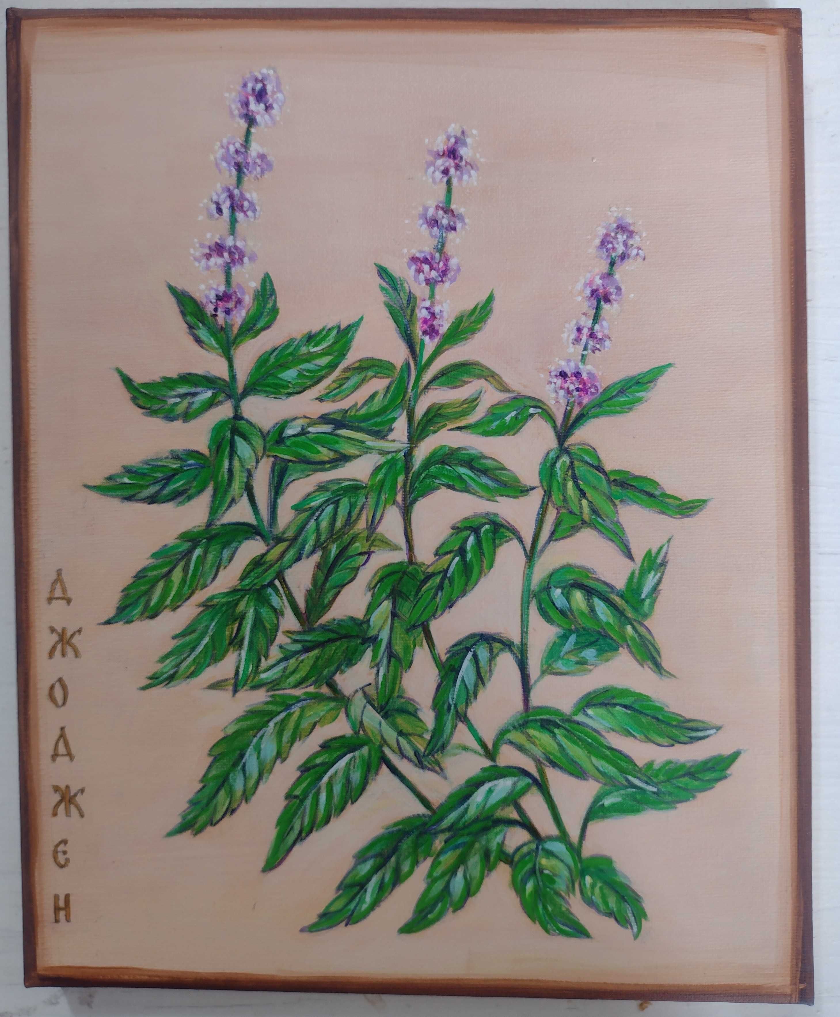 Картини с плодове,кулинарни билки,подправки и цветя.45 лв.