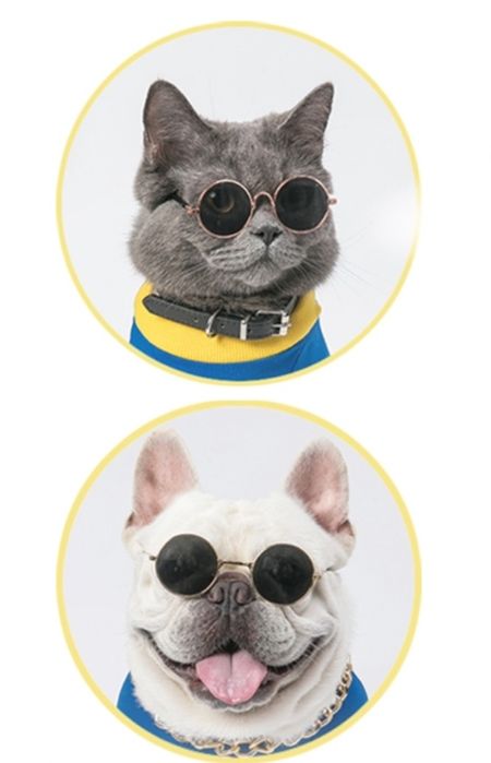 Очки для фотосессии домашним животным