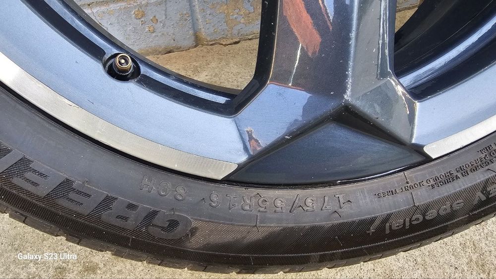 Seagull diska balon arginal zavatskoy