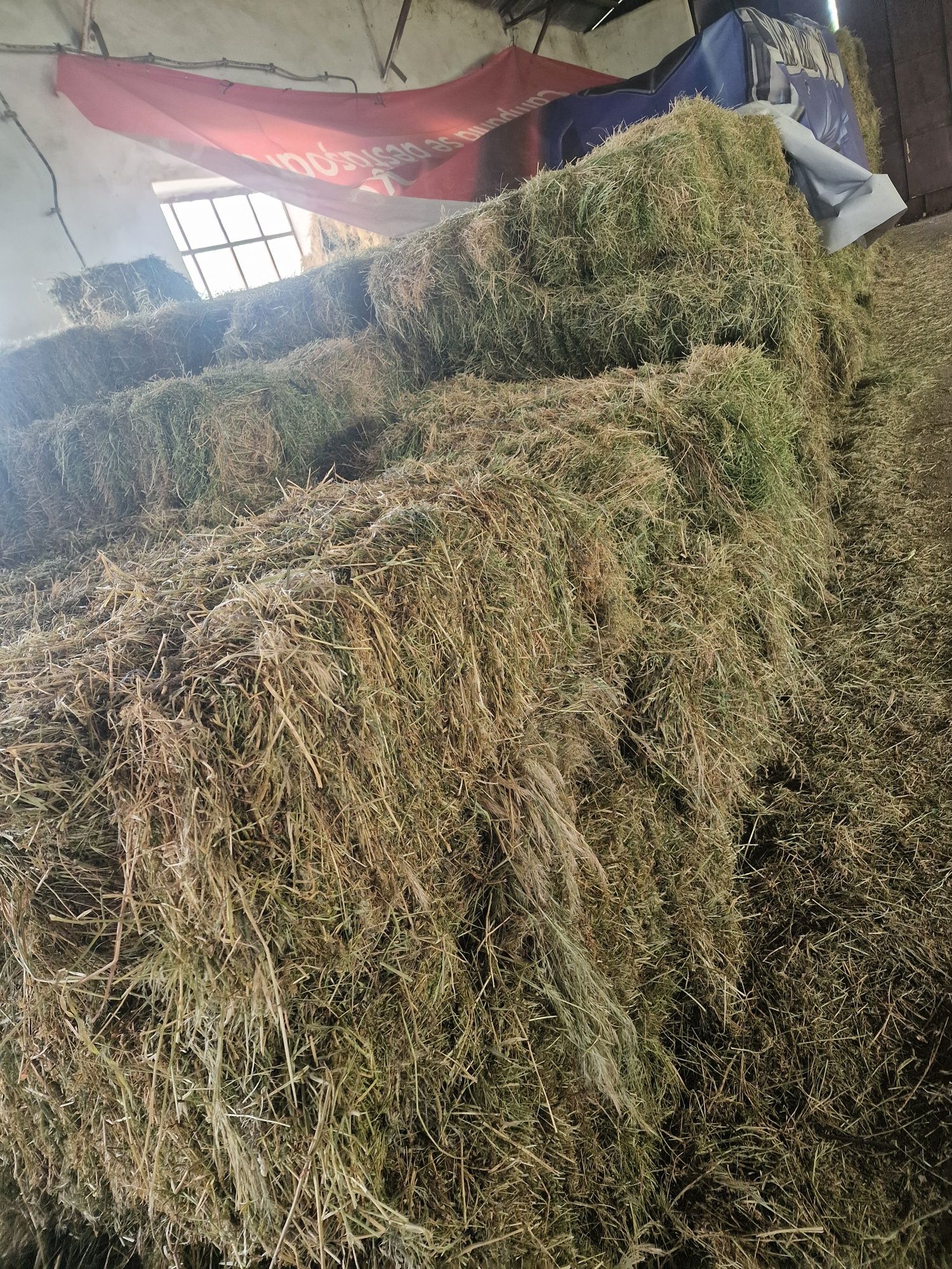Lucernă de Vânzare