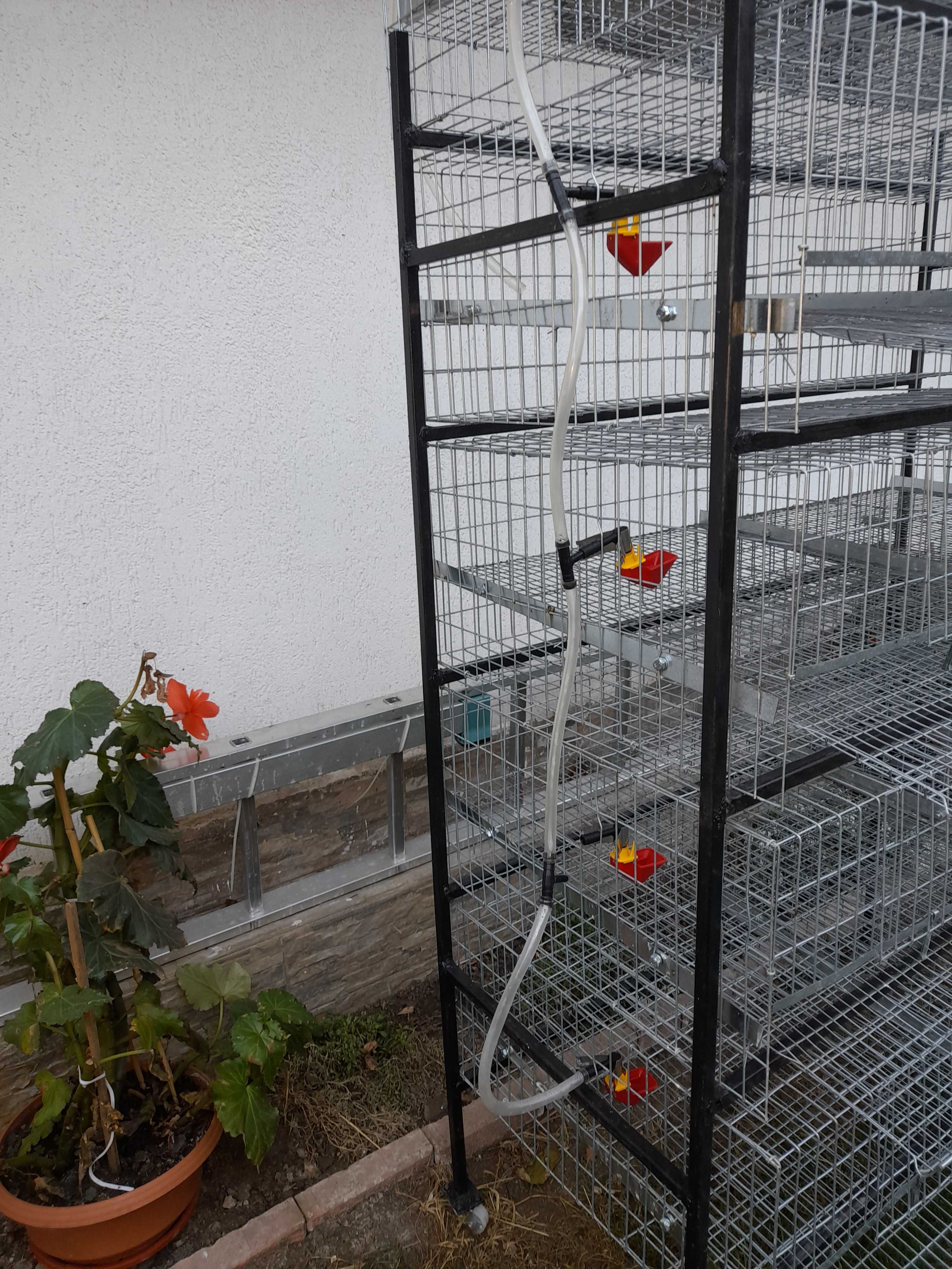 Baterie de 5 custi pentru 250buc. prepelite,custi prepelite