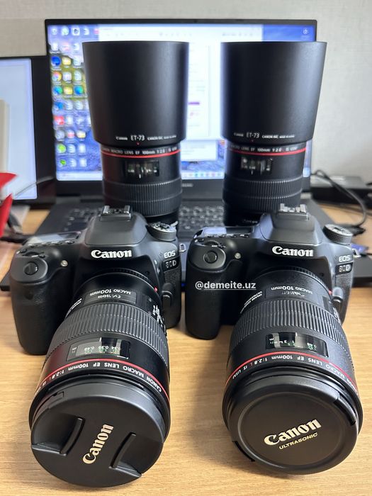 Canon EOS 80D Body + Canon EF 100mm f/2.8L Macro IS USM