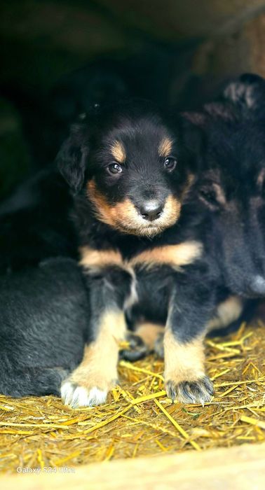 Шикарный пацан красавчик