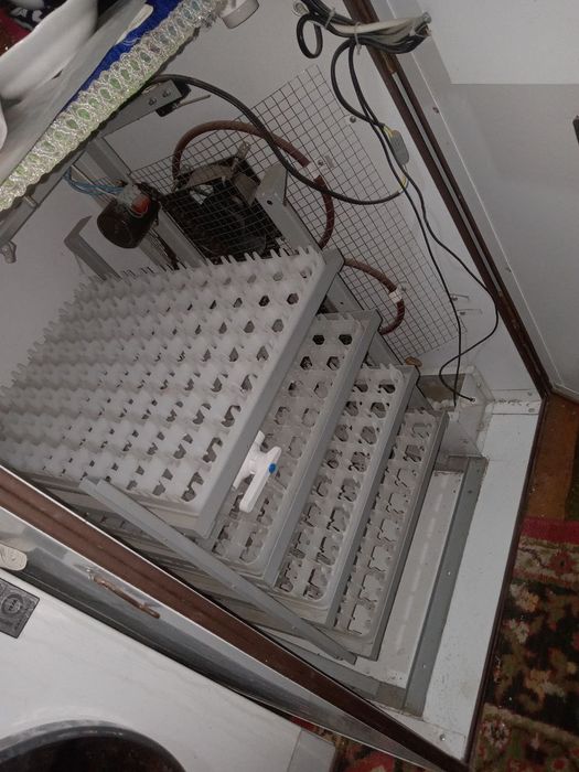 Инкубатор 356 талик