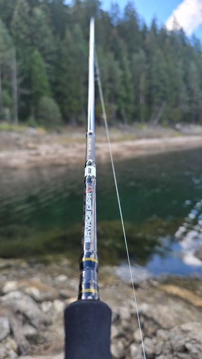 Спининг въдица savage gear sg2