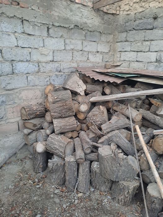 Дрова Отын карагаш