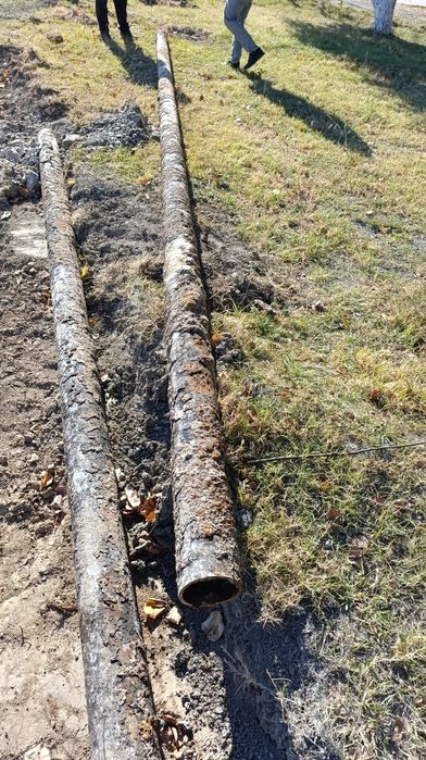 Turba (159) dm (8)mm