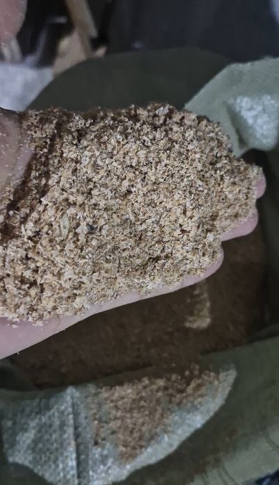 Отруби пшеничный. Бидай кебек