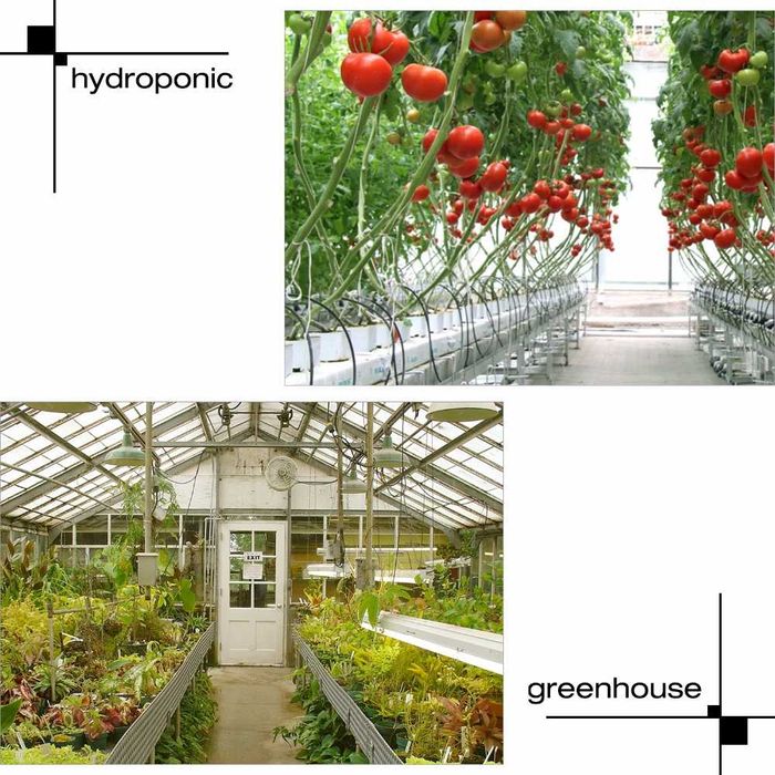 Lampa 250 w led full spectrum crestere plante