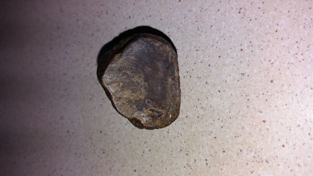 Пррполис, маточное молочко, мёд, пыльца, соты