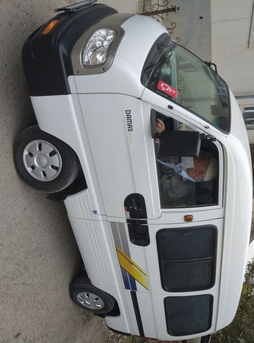 Дамас пассажирский озимники