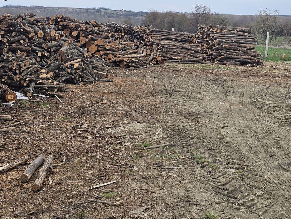 Lemn foc, peleti, brichete, cherestea