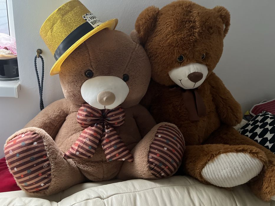 Ursuleti de plus gigant