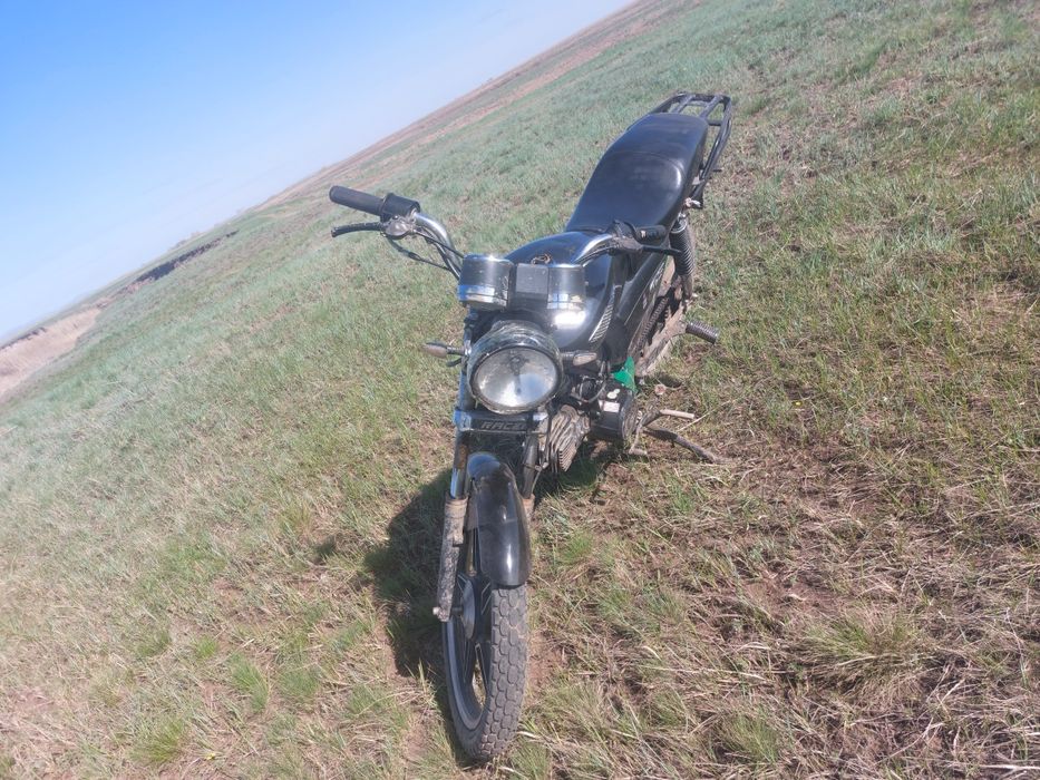 Райсер альфа 110куб