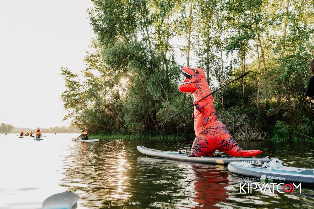 Сдам в аренду сапборд