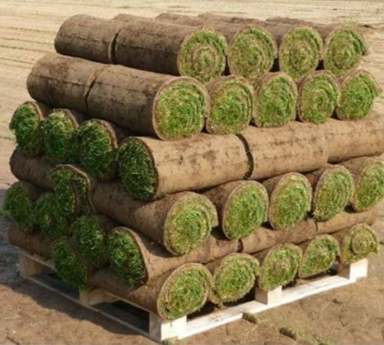 Gazon rulou sisteme de irigare