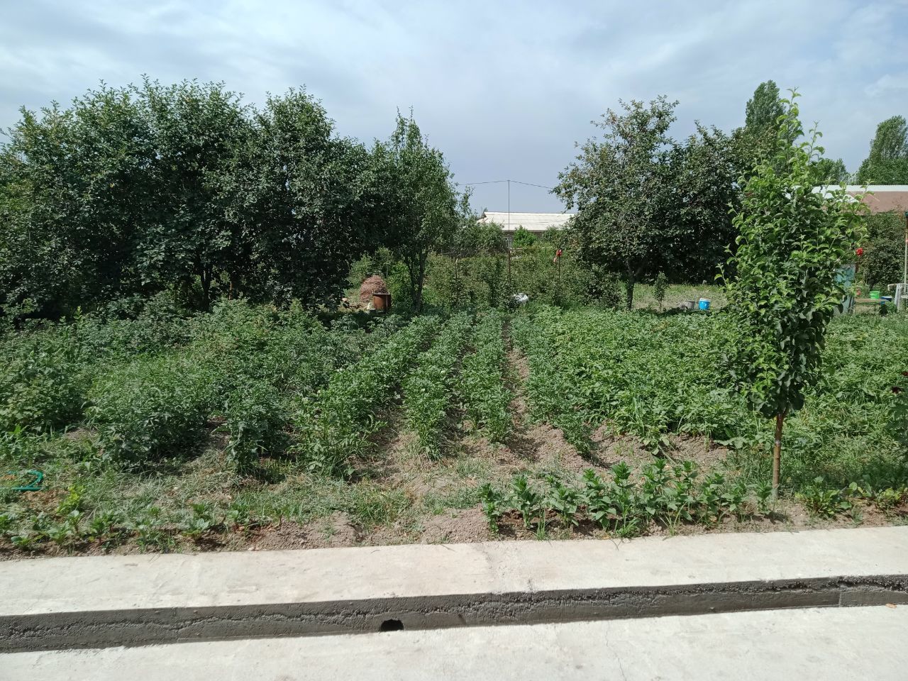 Продается земельный участок делими 5 соток Юкори Чирчик Тоштогизок ...