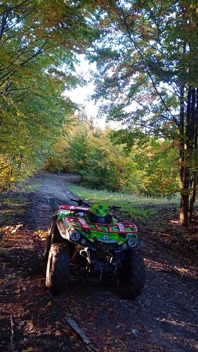 Can am outlander 450 2019