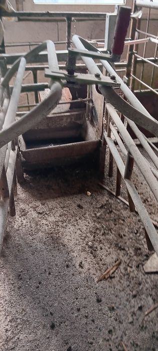 Fatatoare pentru porci