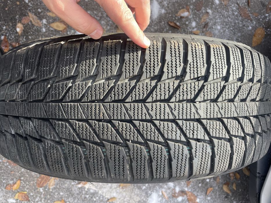 Шины зимние Triangle