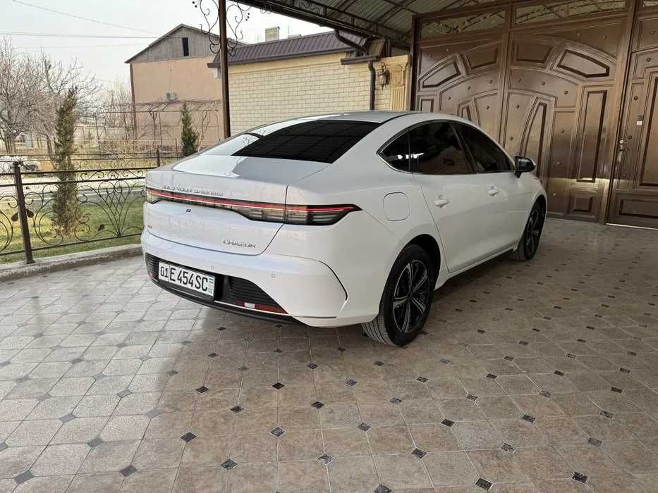 BYD Chazor yillik 12%