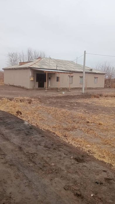 Абай ОФИ да Уй сатылады.