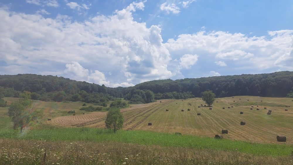 Vând baloți de fân