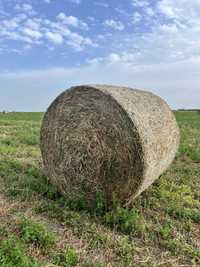 Baloti de lucerna calitate deosebita (350 kg)