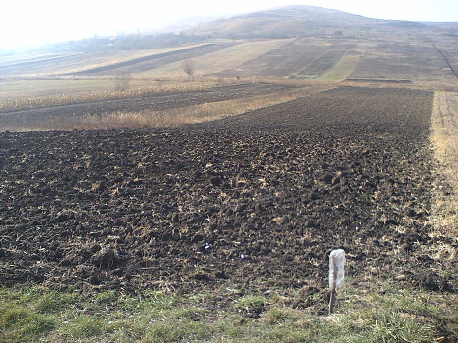 Vand teren in Colonia Sopor - Cartierul Gheorgheni