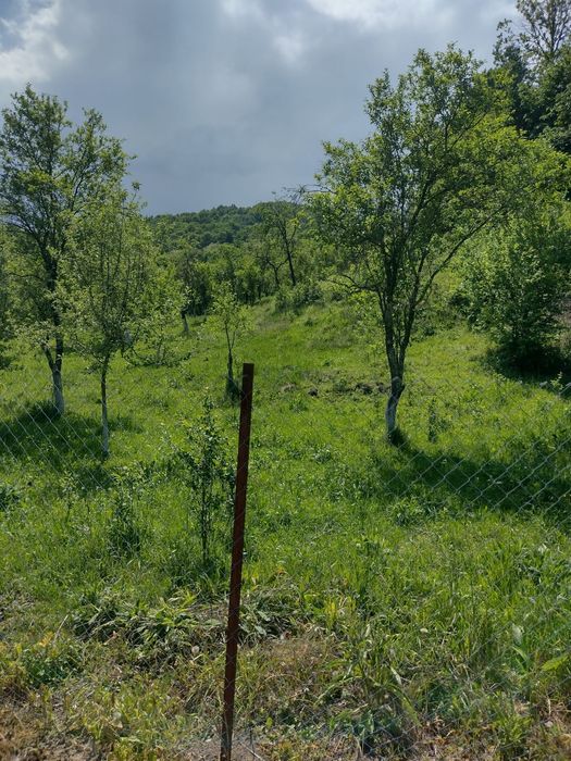 Teren in Geoagiu de sus, zona minunata aproape de manastirea Ramet