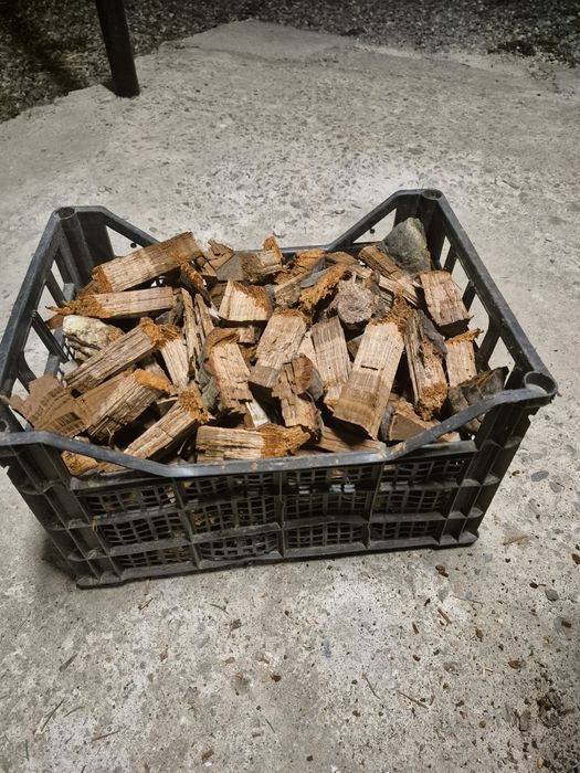 Iasca de fag pentru fum la albine