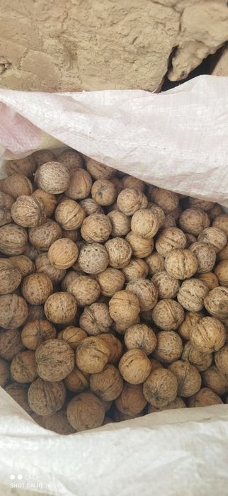 Срочно продаю орехи
