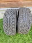 Riken 225 50 R17 dot 2024