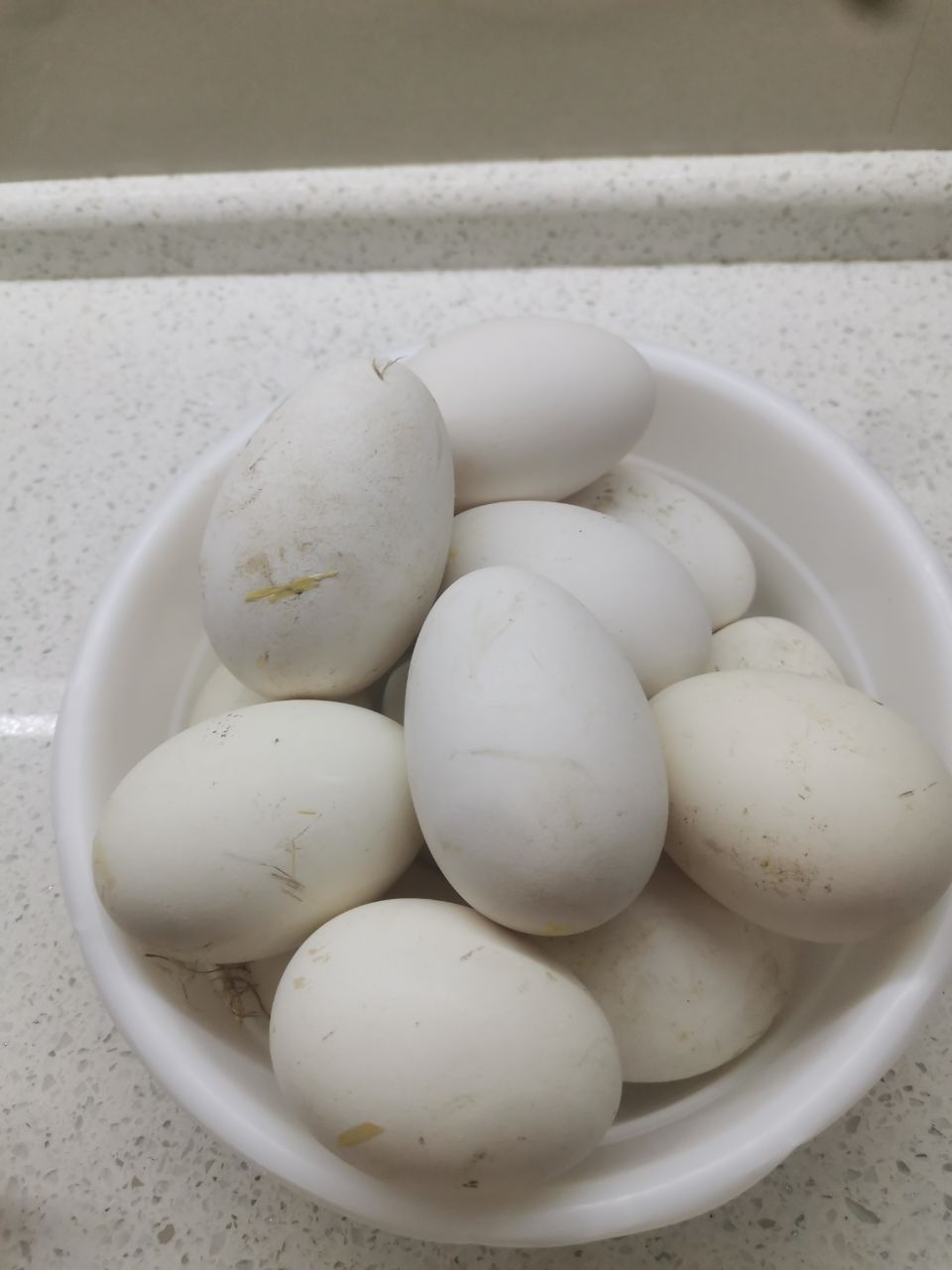 Яйца гусиные свежие