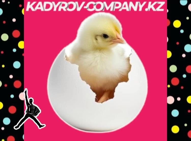 Надежные инкубационные яйца бройлеров для вашего хозяйства