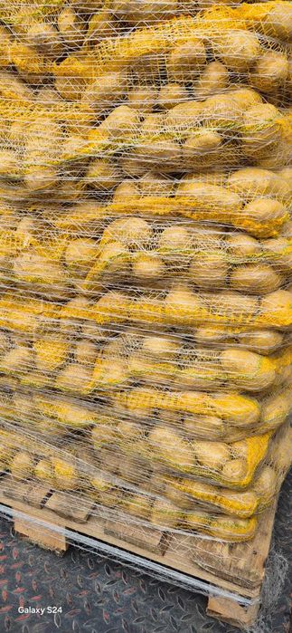 Vand cartofi galbeni,extra calitate