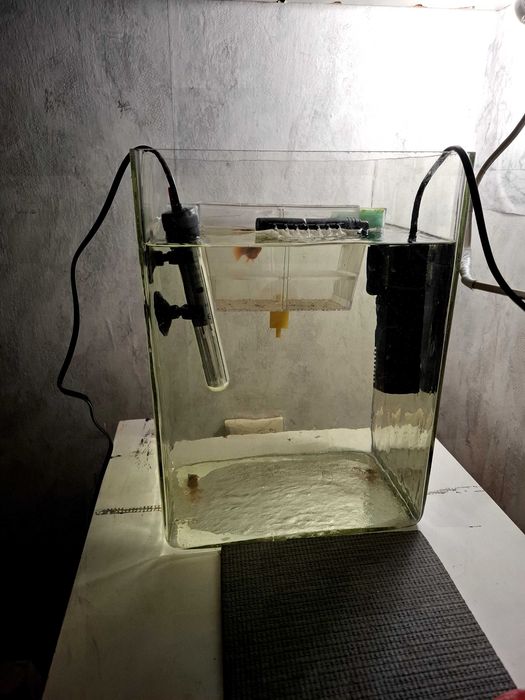 Продавам нагревател ,помпа иваничка за рибки