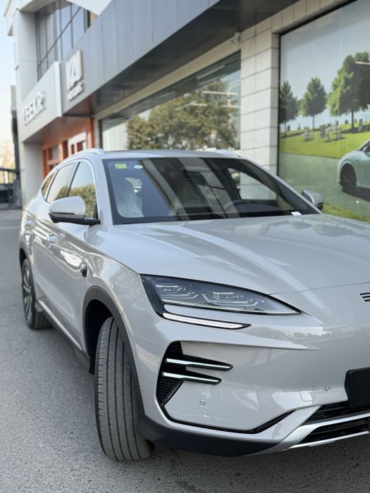 BYD champion smart