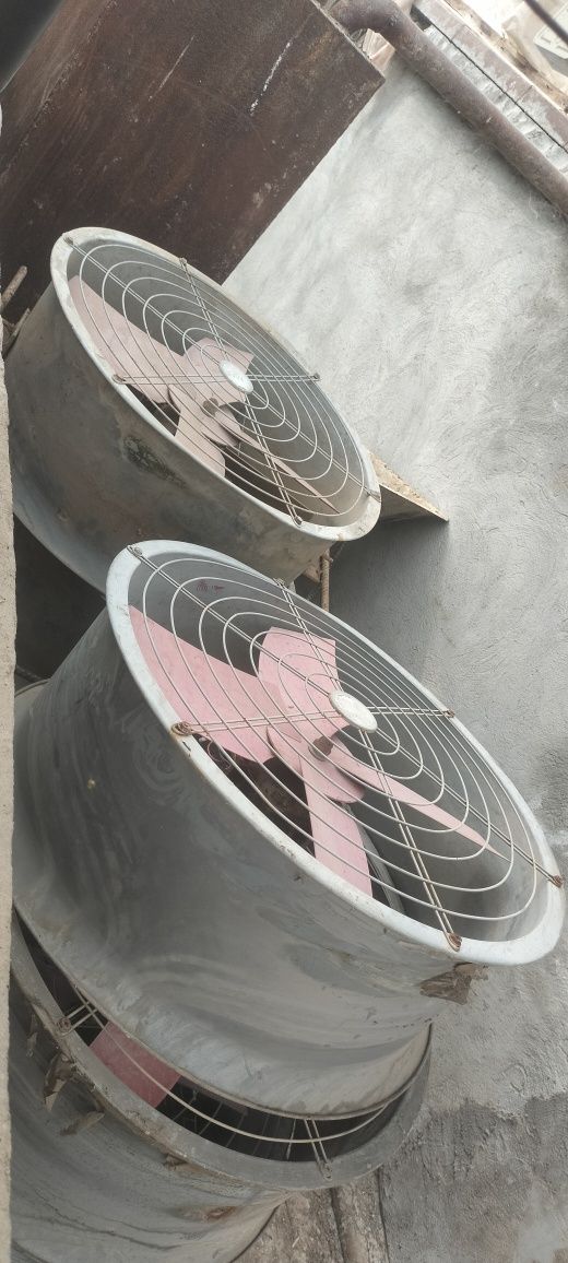 Vitichka viltilatsa sotiladi