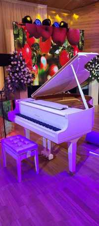Рояль пианино белый в аренду для банкета торжества концерта фотосъемки