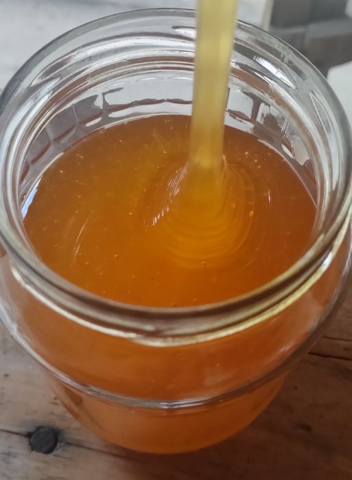 Miere naturală - Producție proprie