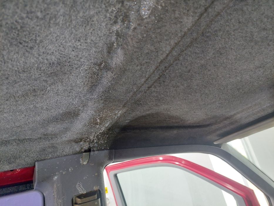 Detailing în Cervenia