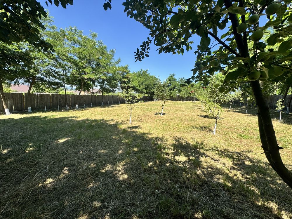 Teren Intravilan - 1000 mp - Proprietar