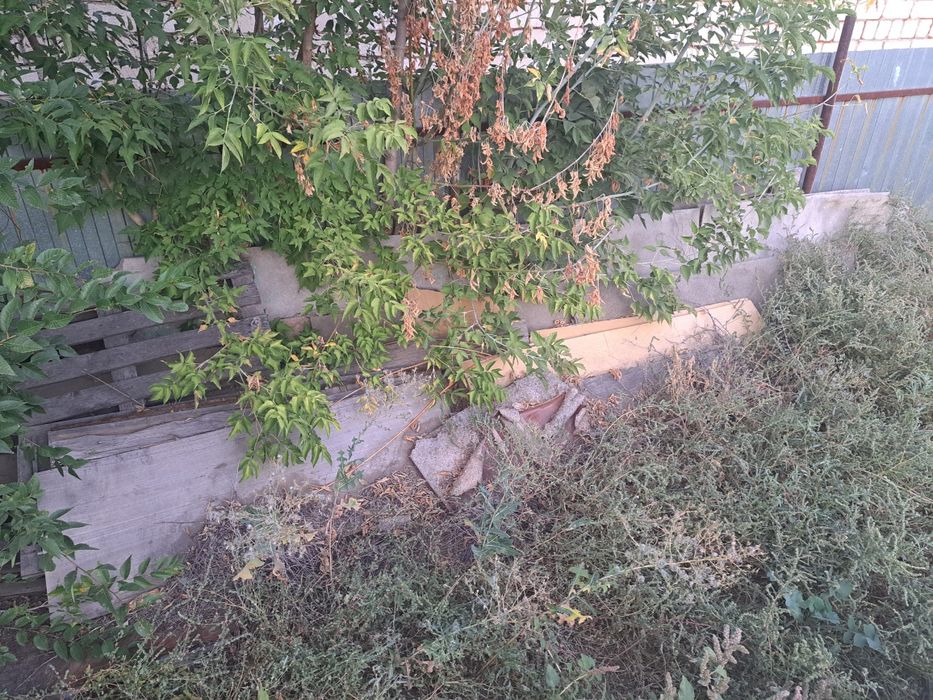 Продам дрова за символическую сумму